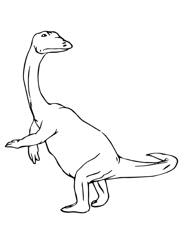 Saurischian Dinosaurs
