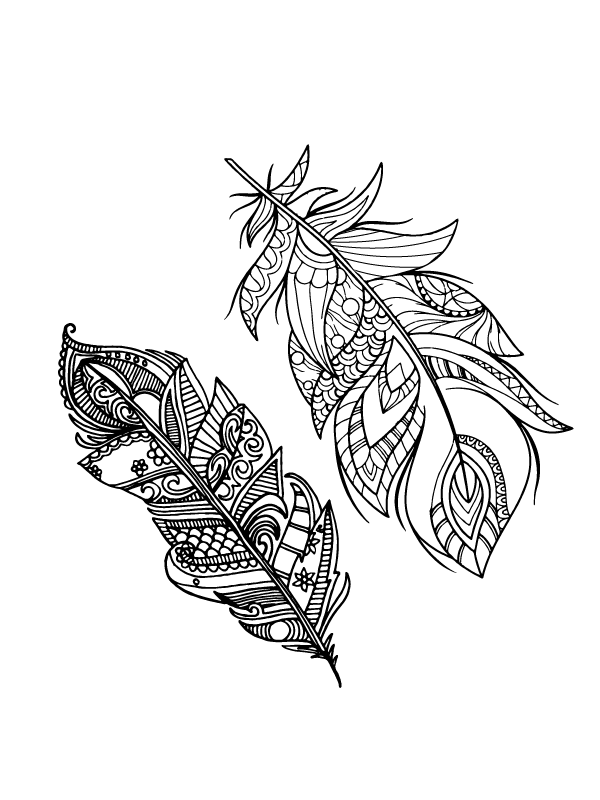 Boho Dreams Feather Coloring Page