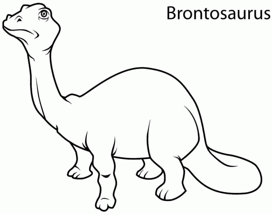 Brontosaurus 3