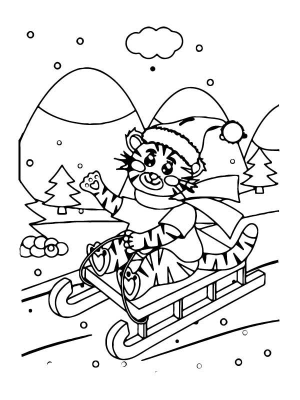 Christmas Cat Skiing