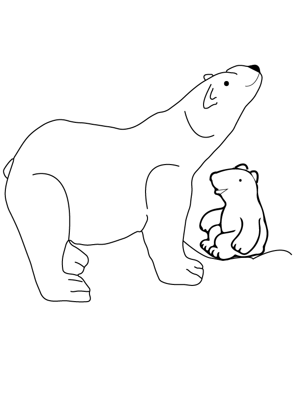 Cub and Bear Sniffing Arctic Animals