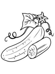 Cucumber Coloring Page
