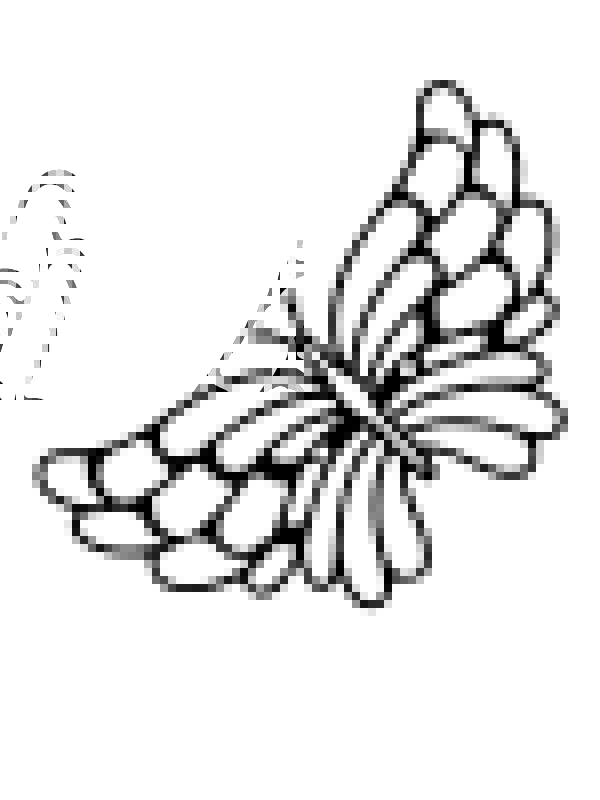 Cute and Simple Butterfly