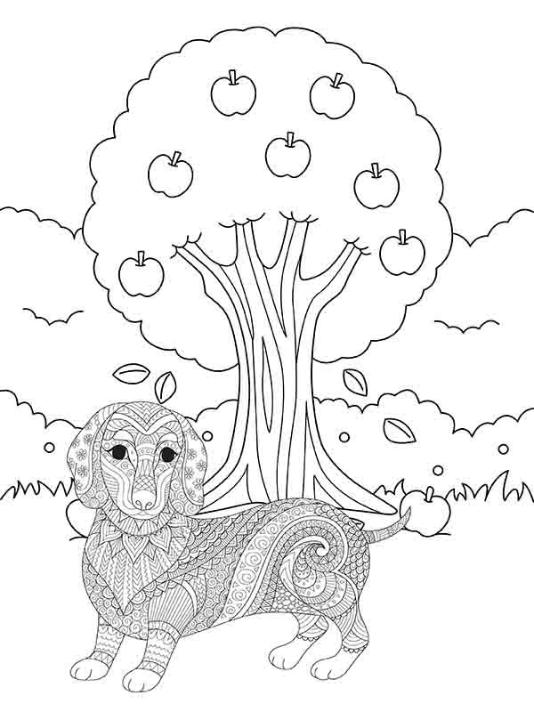 Dog Mandala and Apple Tree