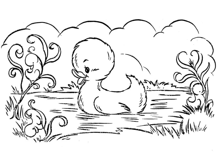Duckling Coloring Page