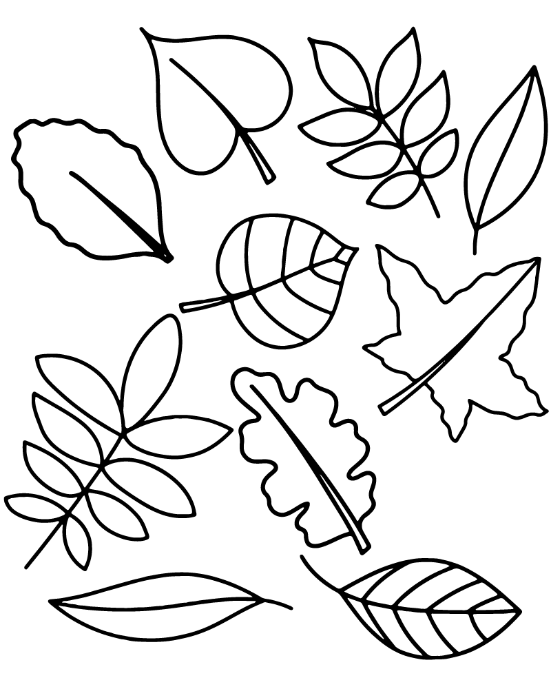 Fall Leaves Craft Templates