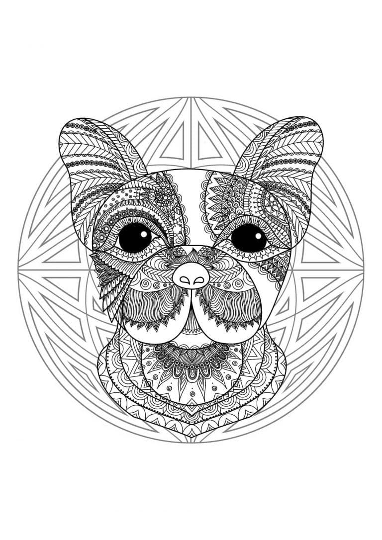 French Bulldog Animal Mandala