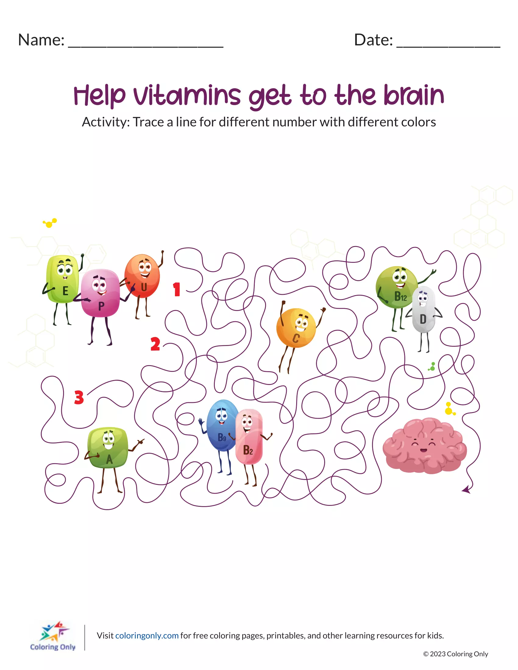 Help Vitamins Get to the Brain
