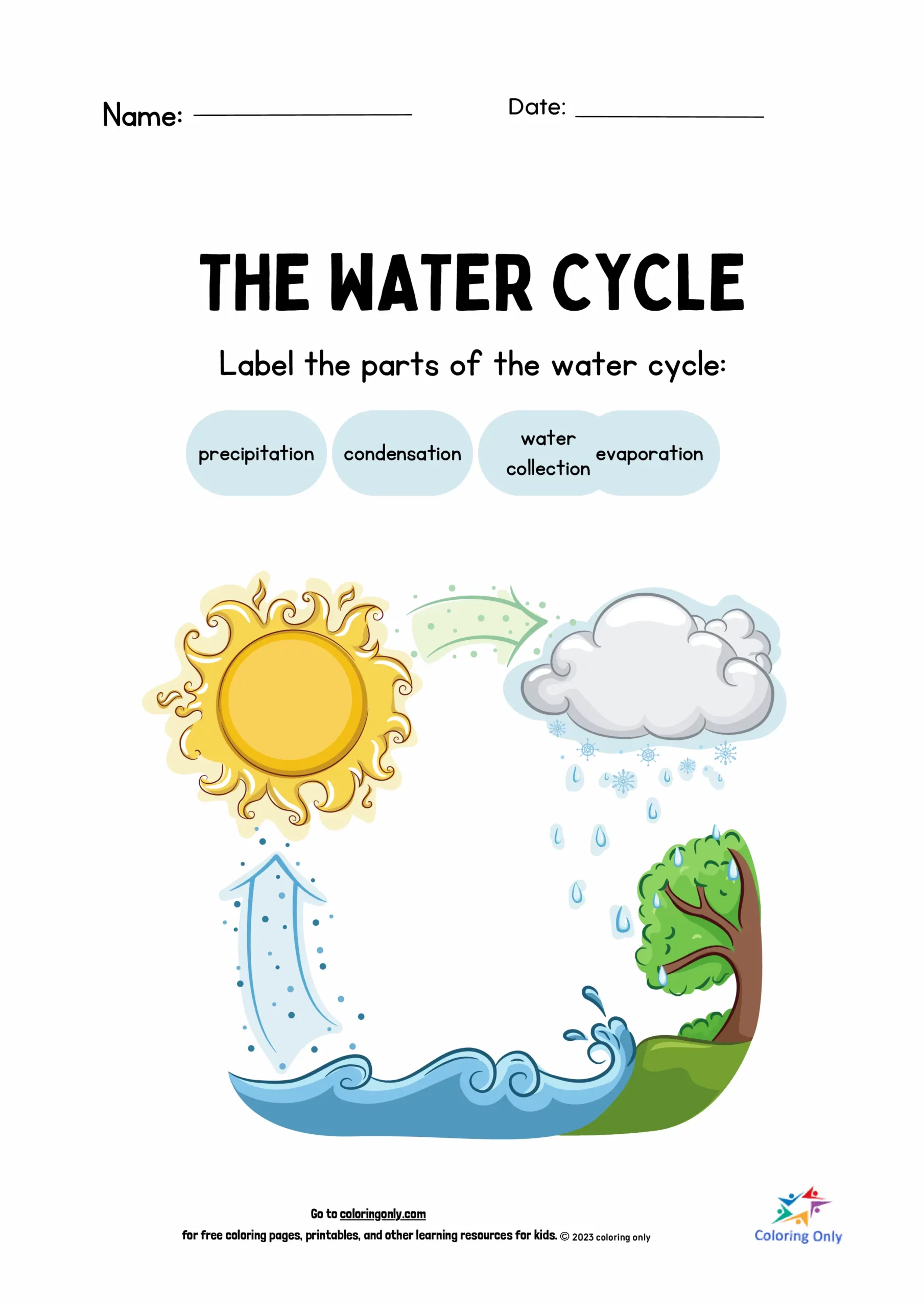 Der Wasserkreislauf