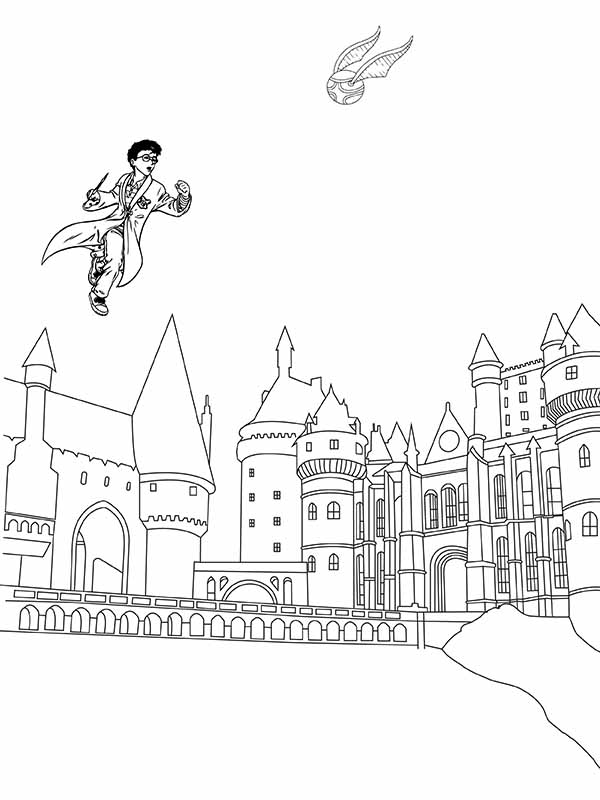 Hogwarts School and Harry Potter Flying