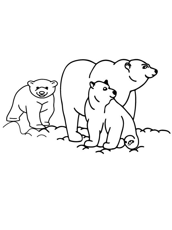 Mama Bear and Cute Cubs Arctic Animals