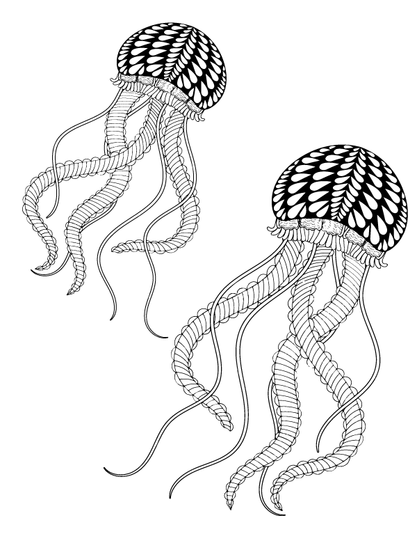 Mystical Boho Octopus Coloring Page