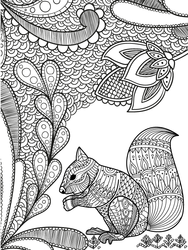 Nature Mandala and Squirrel Coloring Page