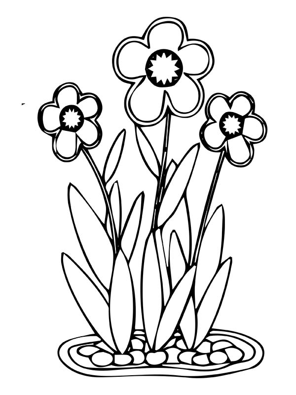 Outdoor Easy Three Flowers Coloring Page