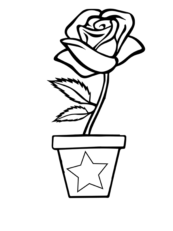 Rose in Flower Vase