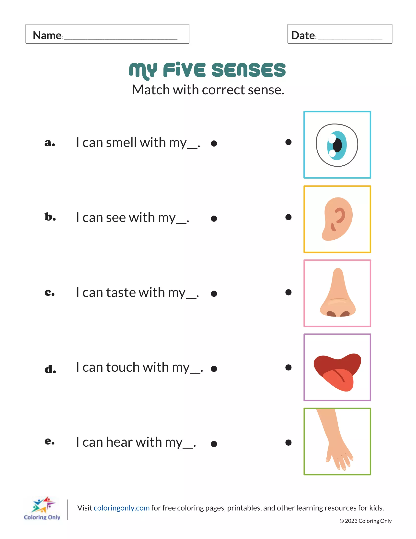 Meine fünf Sinne
