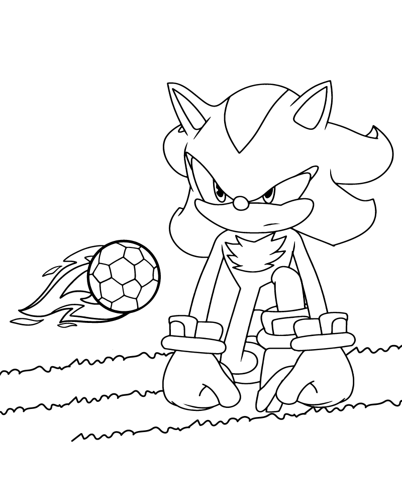 Shadow Sonic