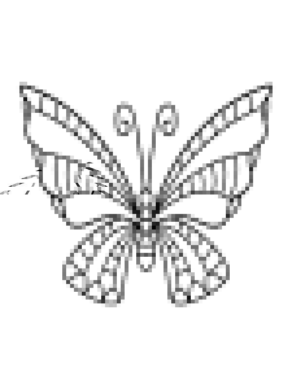 Simple Aesthetic Butterfly