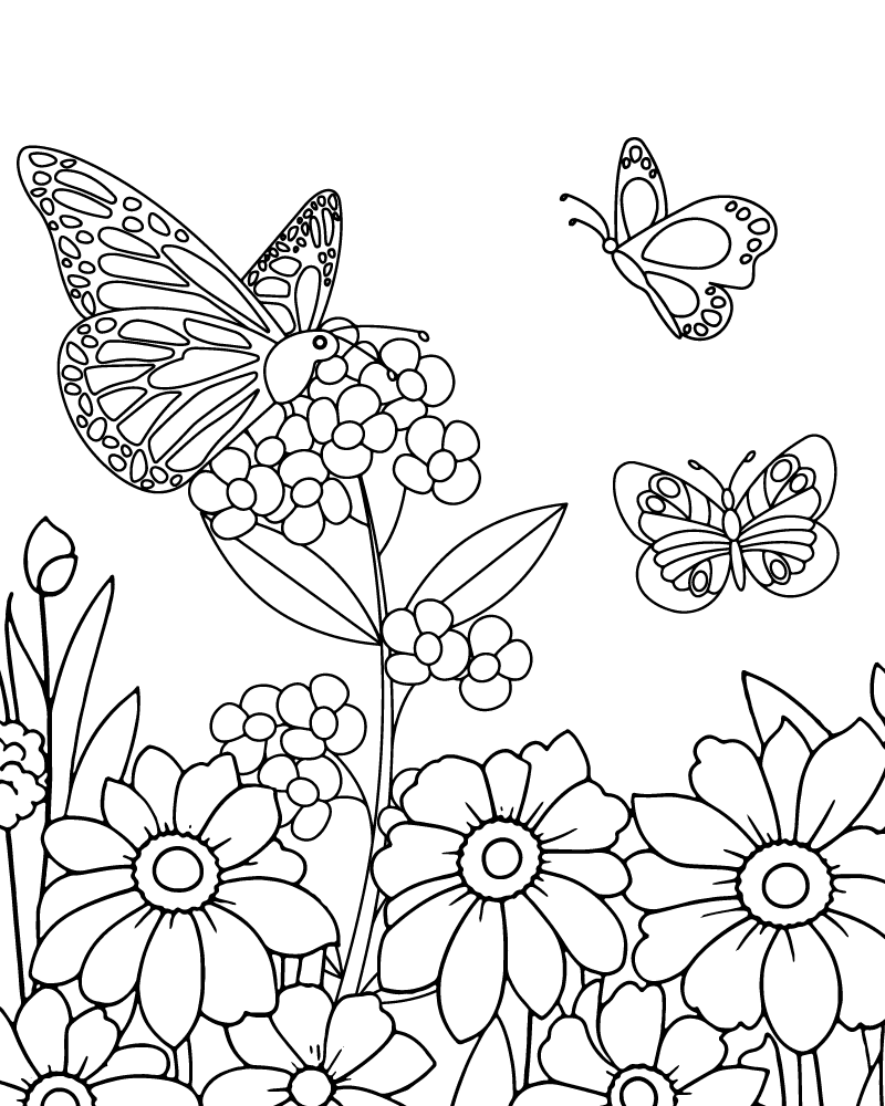 Simple Butterflies for Adult