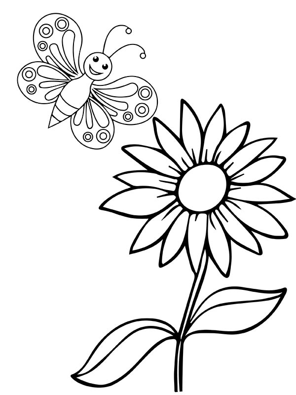 Smiling Butterfly and Sunflower