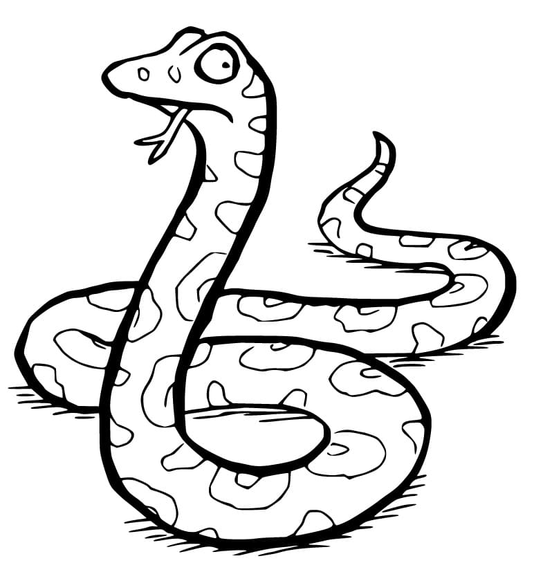 Ausmalbild Schlange aus Grufallo