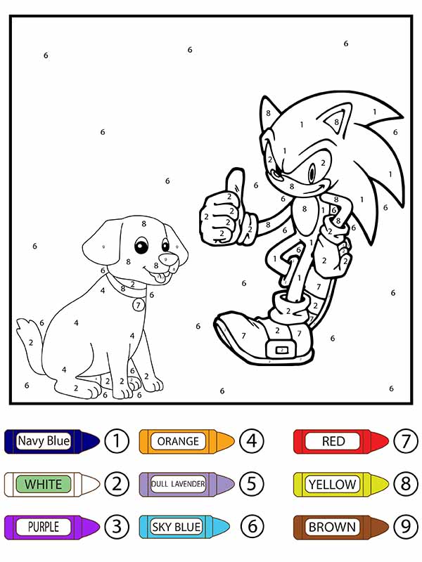 Sonic and Dog Color by Number