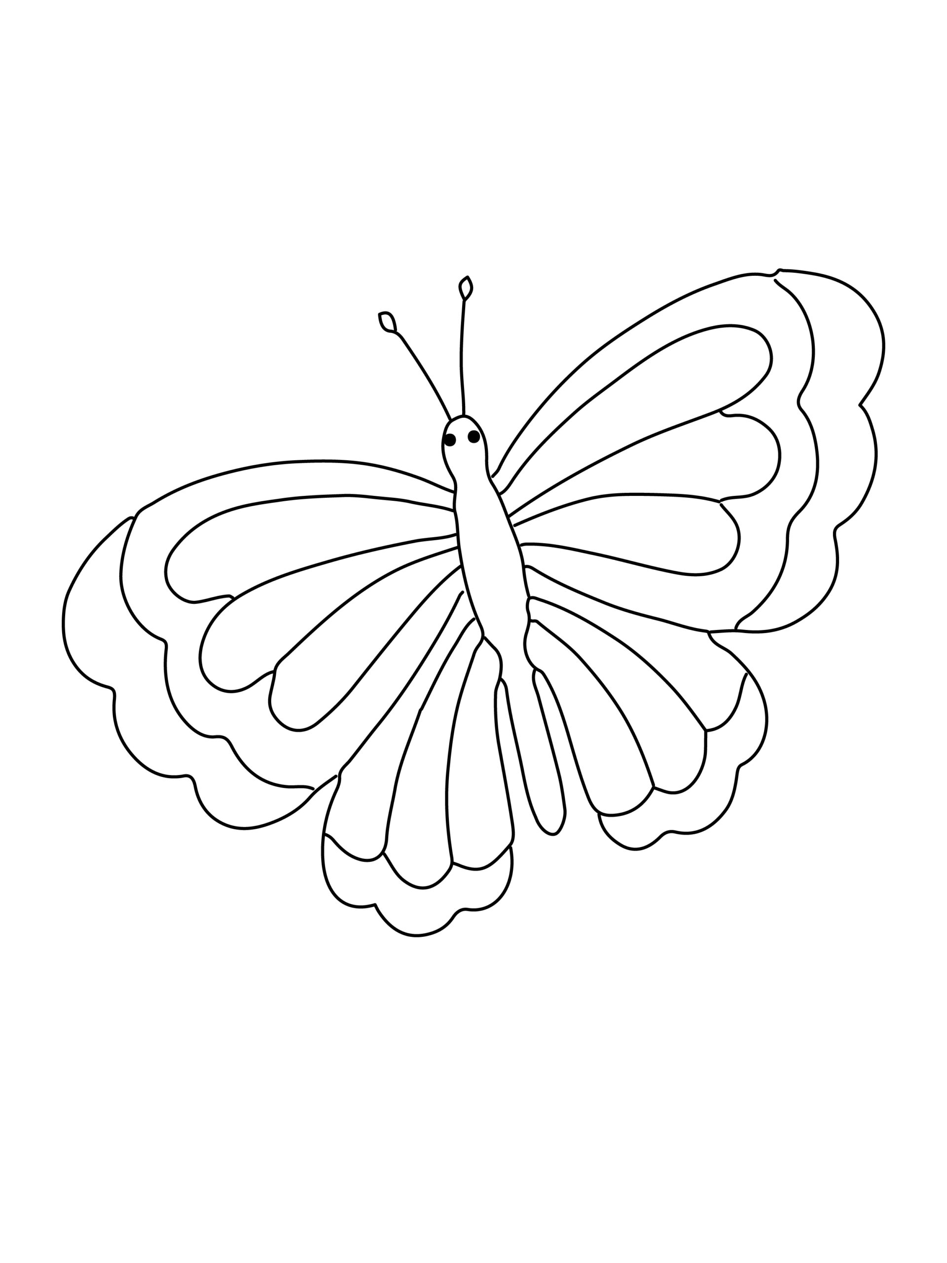 appropriate butterfly
