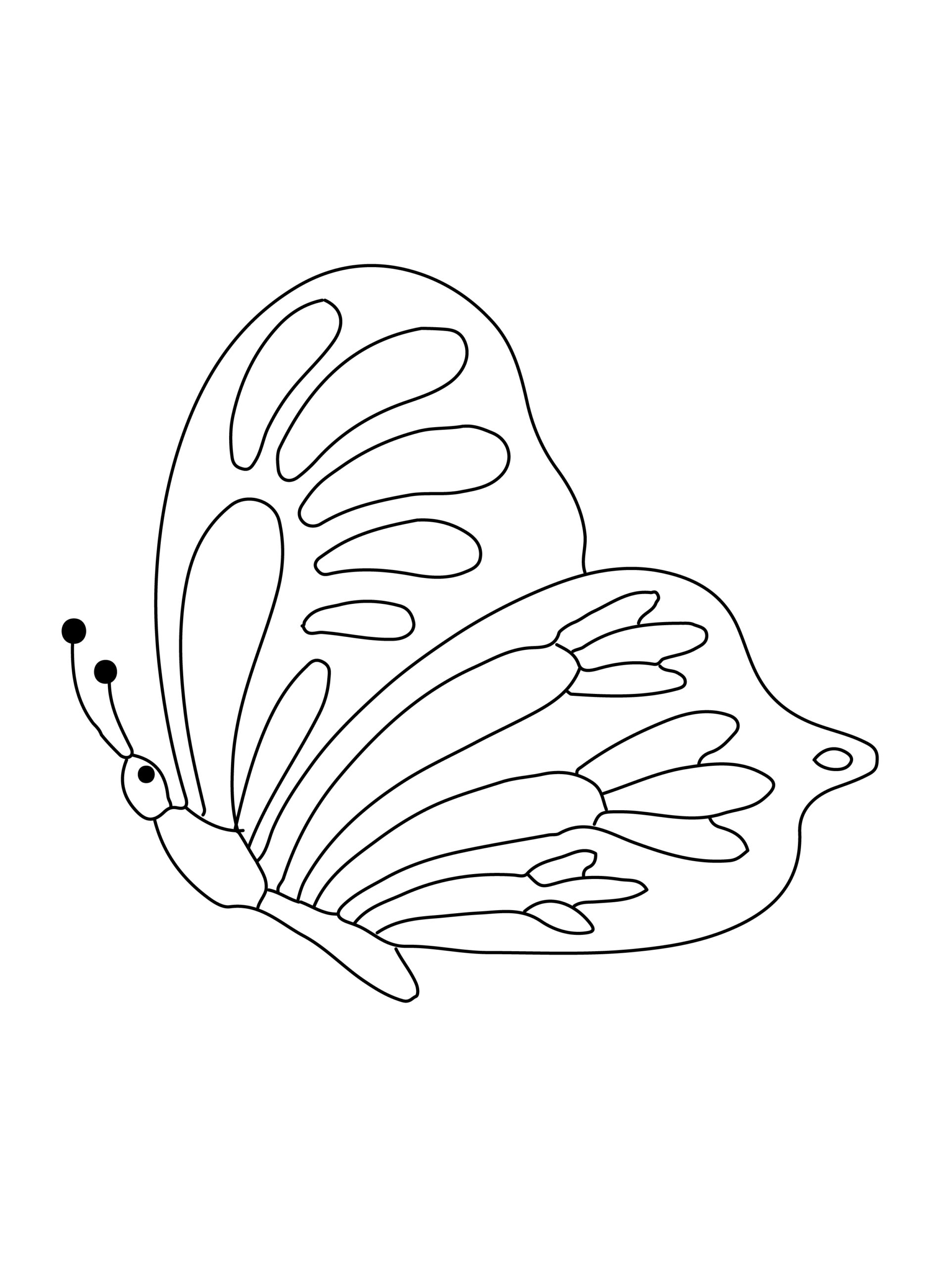 gorgeous butterfly coloring page.
