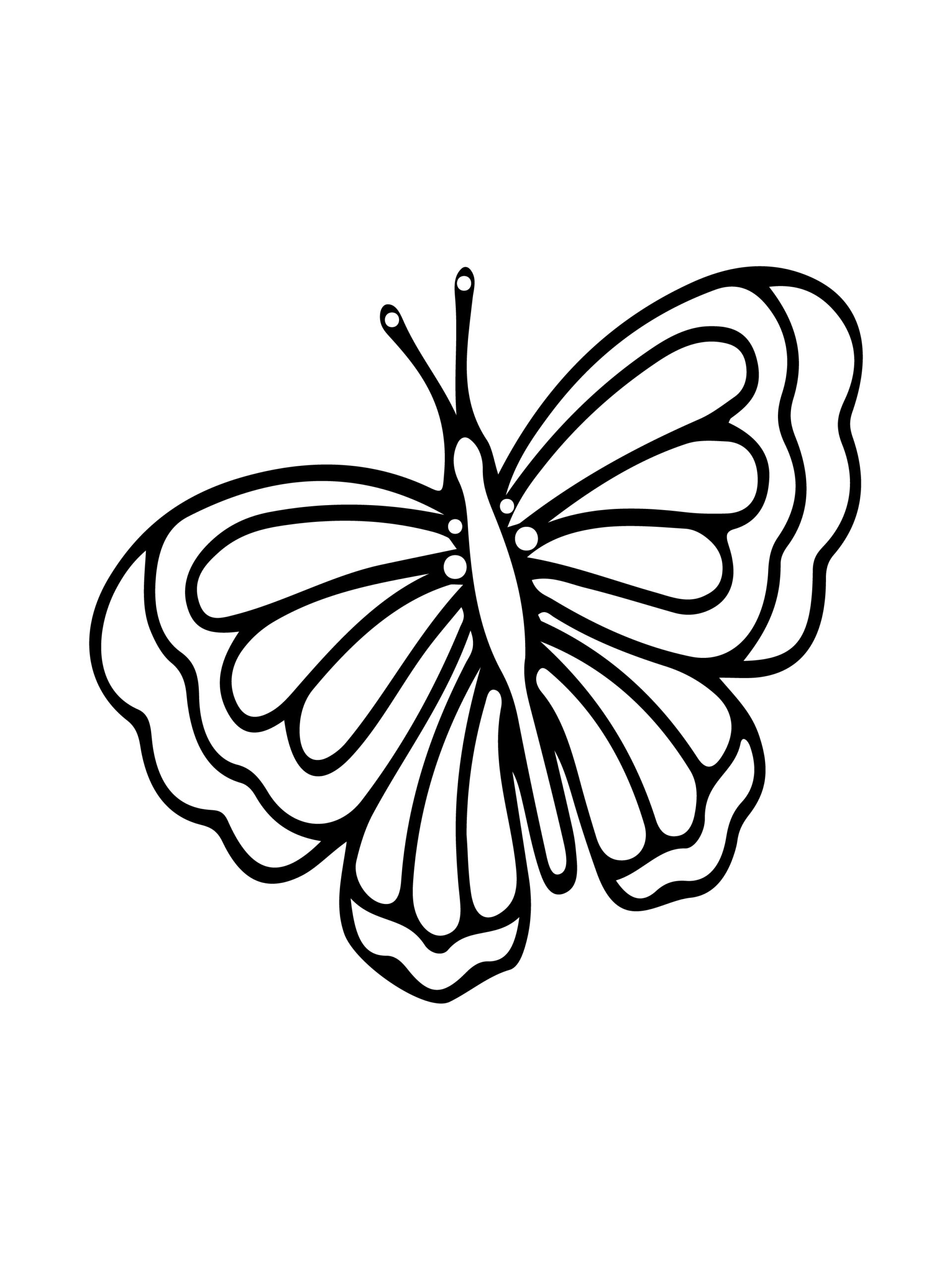 Cute butterfly