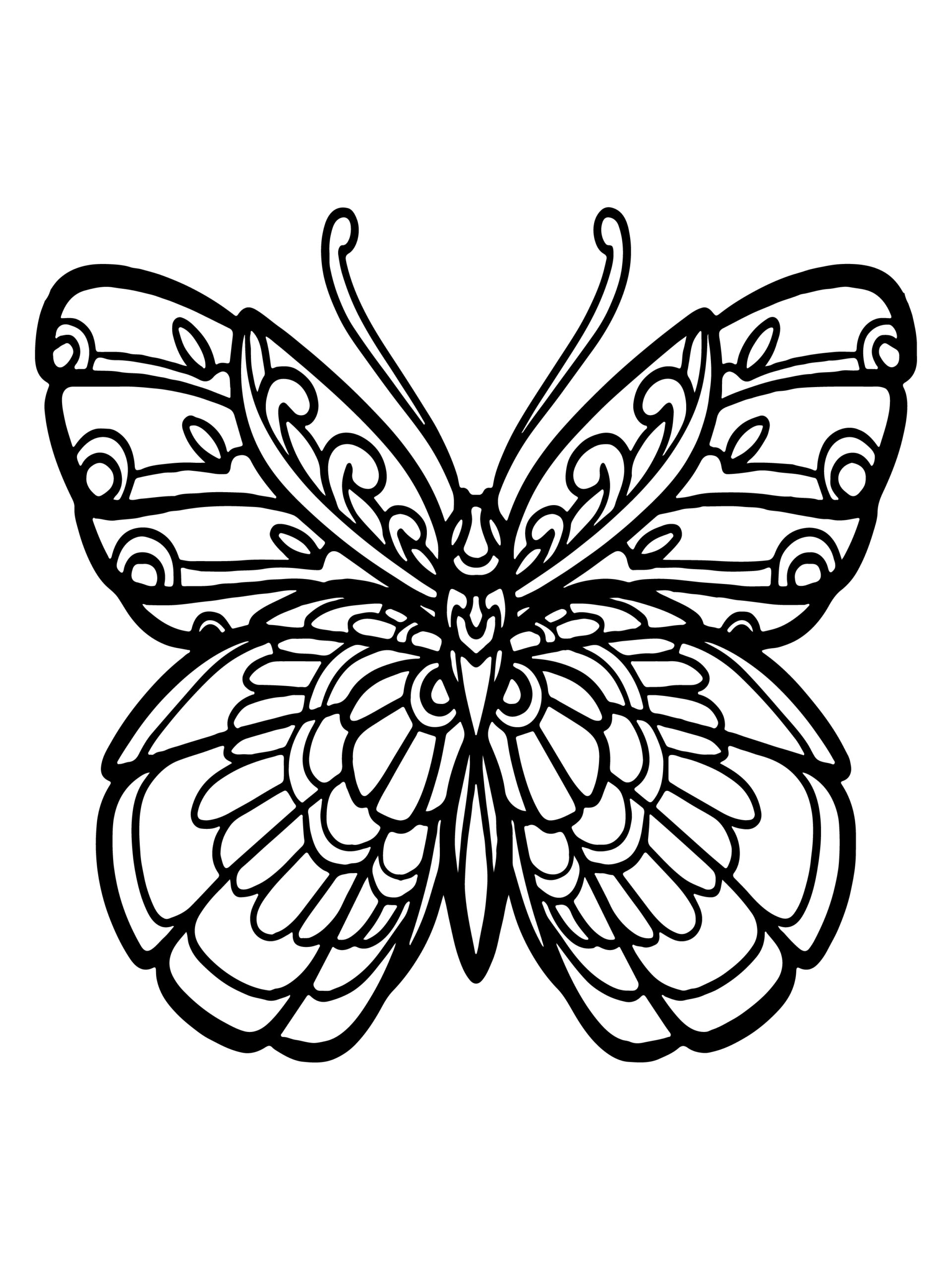 finicky butterfly