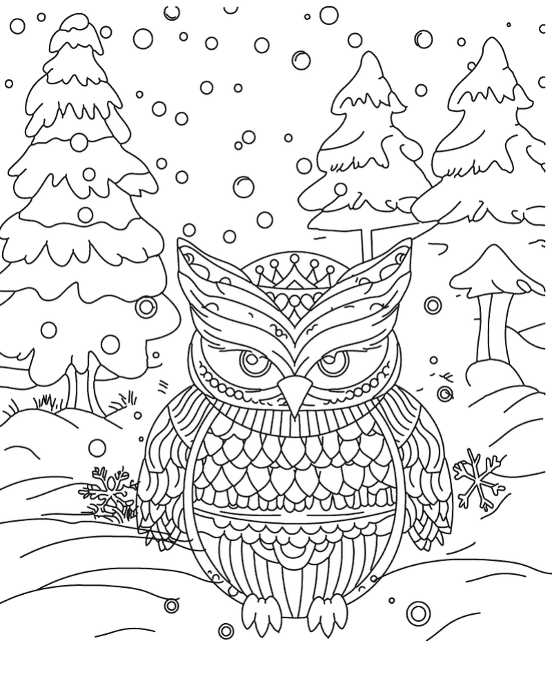 Winter Owl