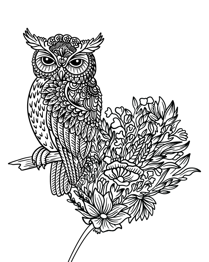 Zen Owl