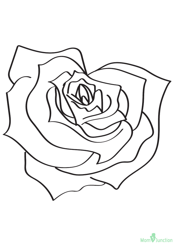 The Heart Shaped Rose Coloring Page - Free Printable Coloring Pages for ...