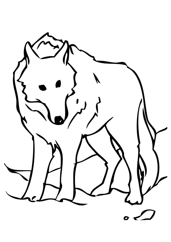 Stationary Wolf Coloring Page - Free Printable Coloring Pages for Kids