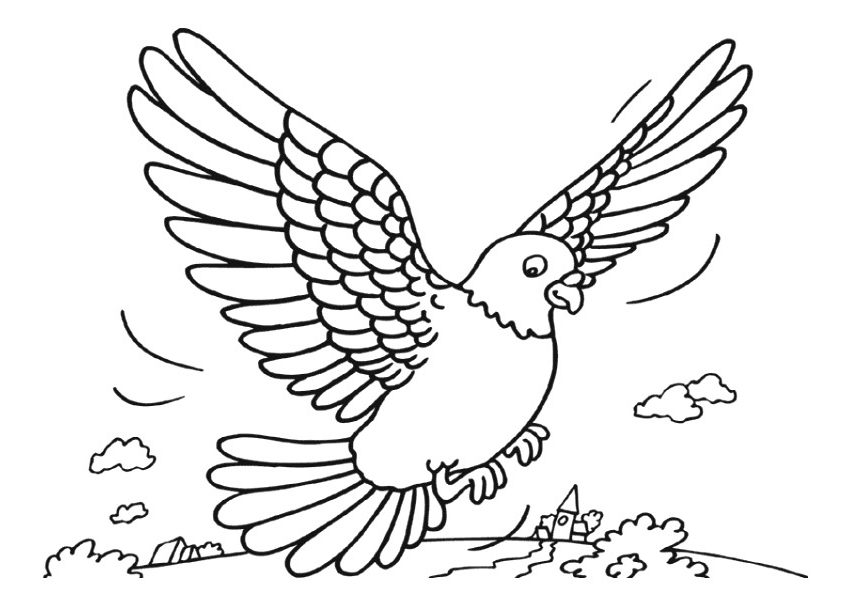 उड़ते हुए कबूतर का चित्र बनाना सीखें || How to Draw a Flaying Pigeon Easy  step by step || Pigeon - YouTube