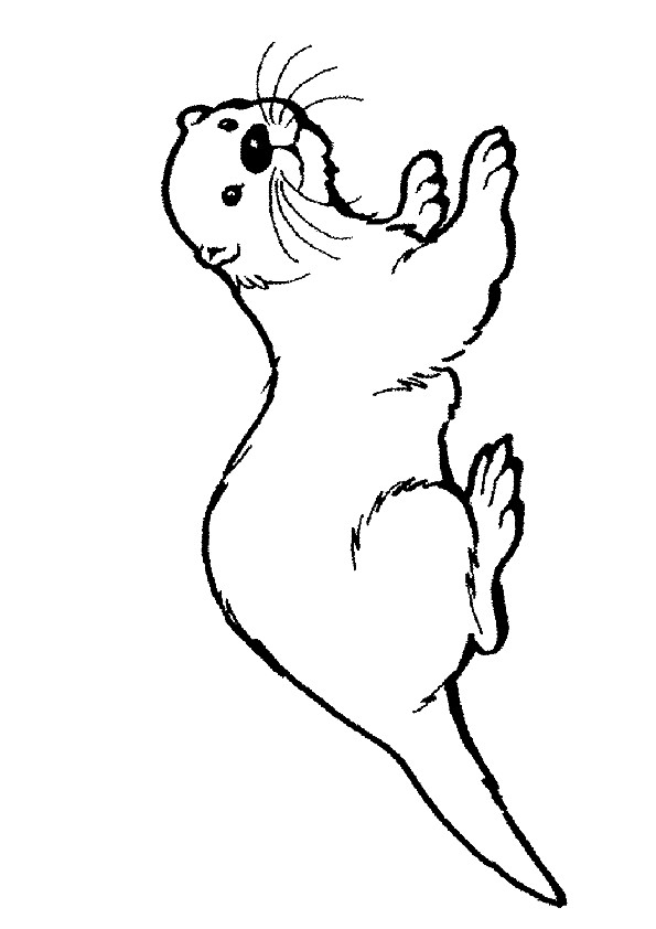 Hairy Nosed Otter Coloring Page - Free Printable Coloring Pages for Kids