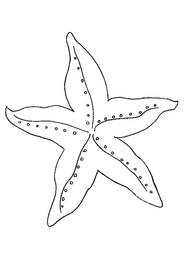 A Basic Starfish Coloring Page - Free Printable Coloring Pages for Kids