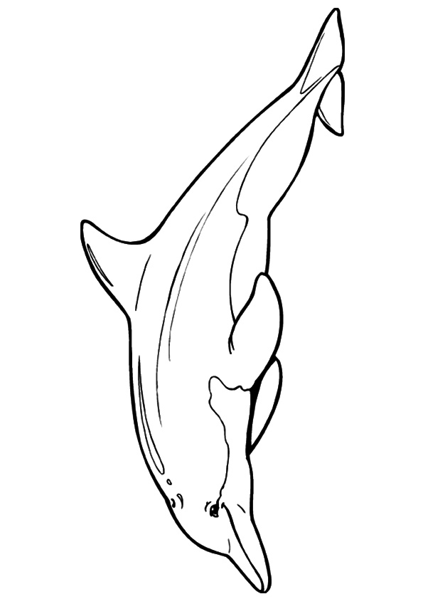 Dolphin Chinese Coloring Page - Free Printable Coloring Pages for Kids