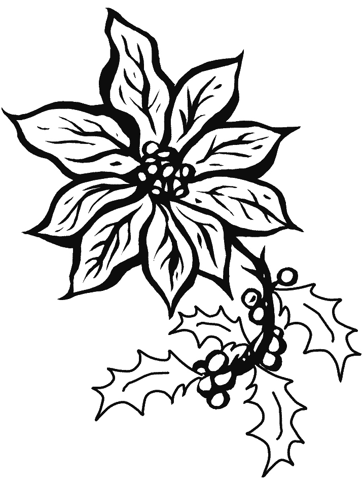 Poinsettia Coloring Pages - Free Printable Coloring Pages for Kids
