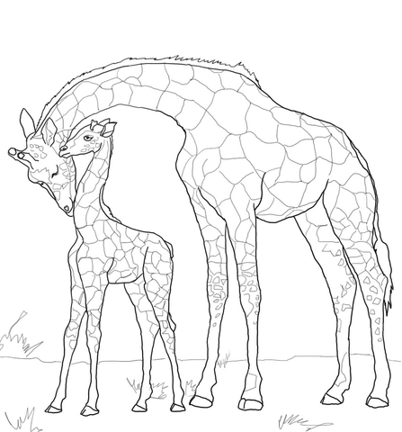 Download Mother And Baby Giraffe Coloring Page Free Printable Coloring Pages For Kids