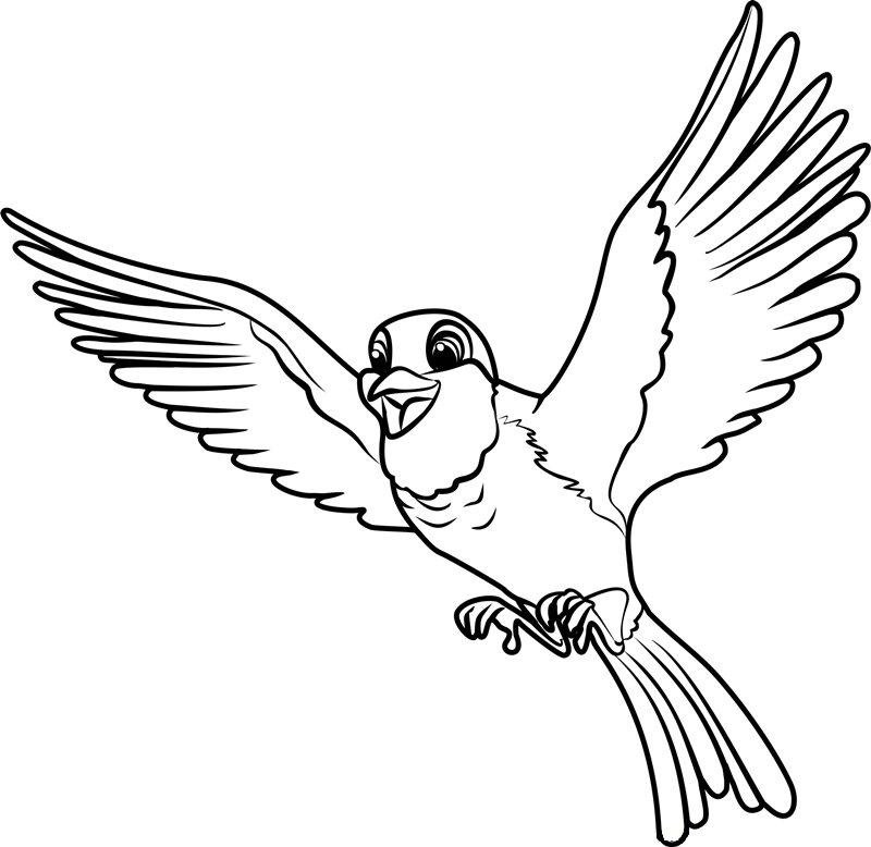 Robin Flying Coloring Page Free Printable Coloring Pages For Kids