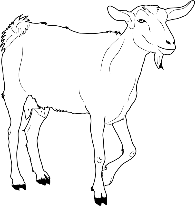 Goat Walking Coloring Page - Free Printable Coloring Pages for Kids