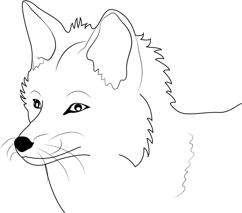 Download Fox Coloring Pages Free Printable Coloring Pages For Kids