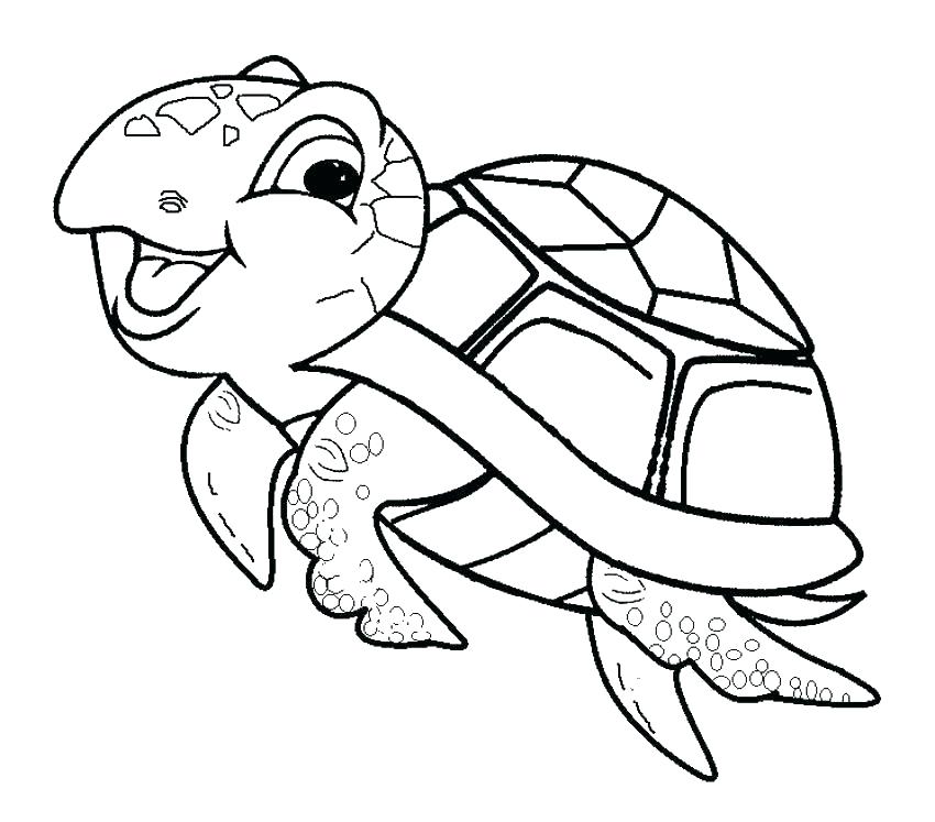 cute baby sea turtle coloring page  free printable coloring