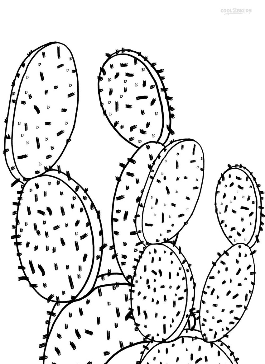 desert plant coloring pages