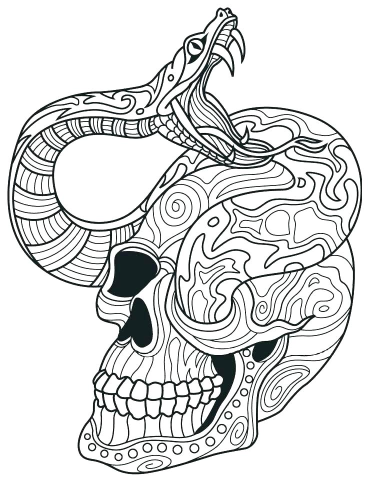 free printable skull coloring pages  wwwtuningintomom