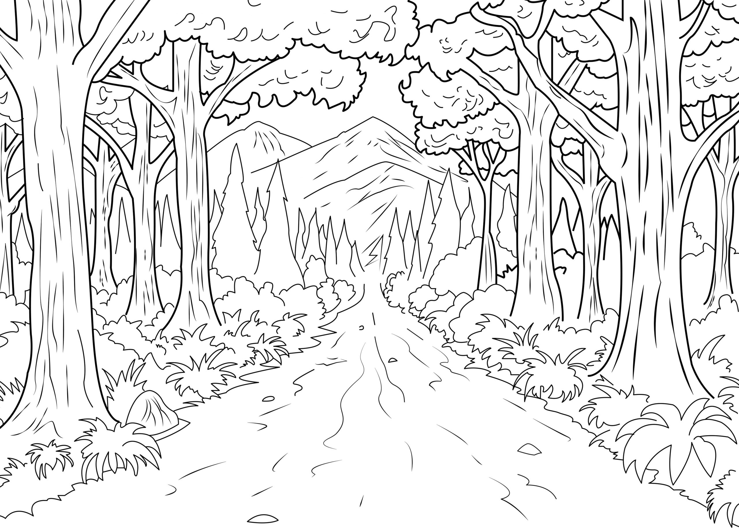 Først Aflede skrig Natural Road In Forest Coloring Page - Free Printable Coloring Pages for  Kids