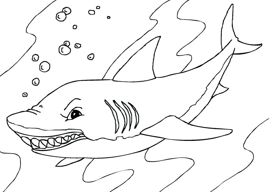 shark coloring pages  free printable coloring pages for kids