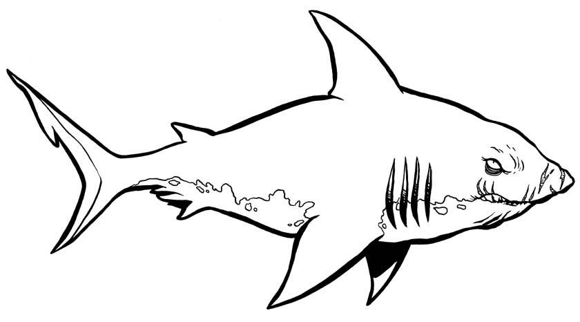 shark coloring pages  free printable coloring pages for kids