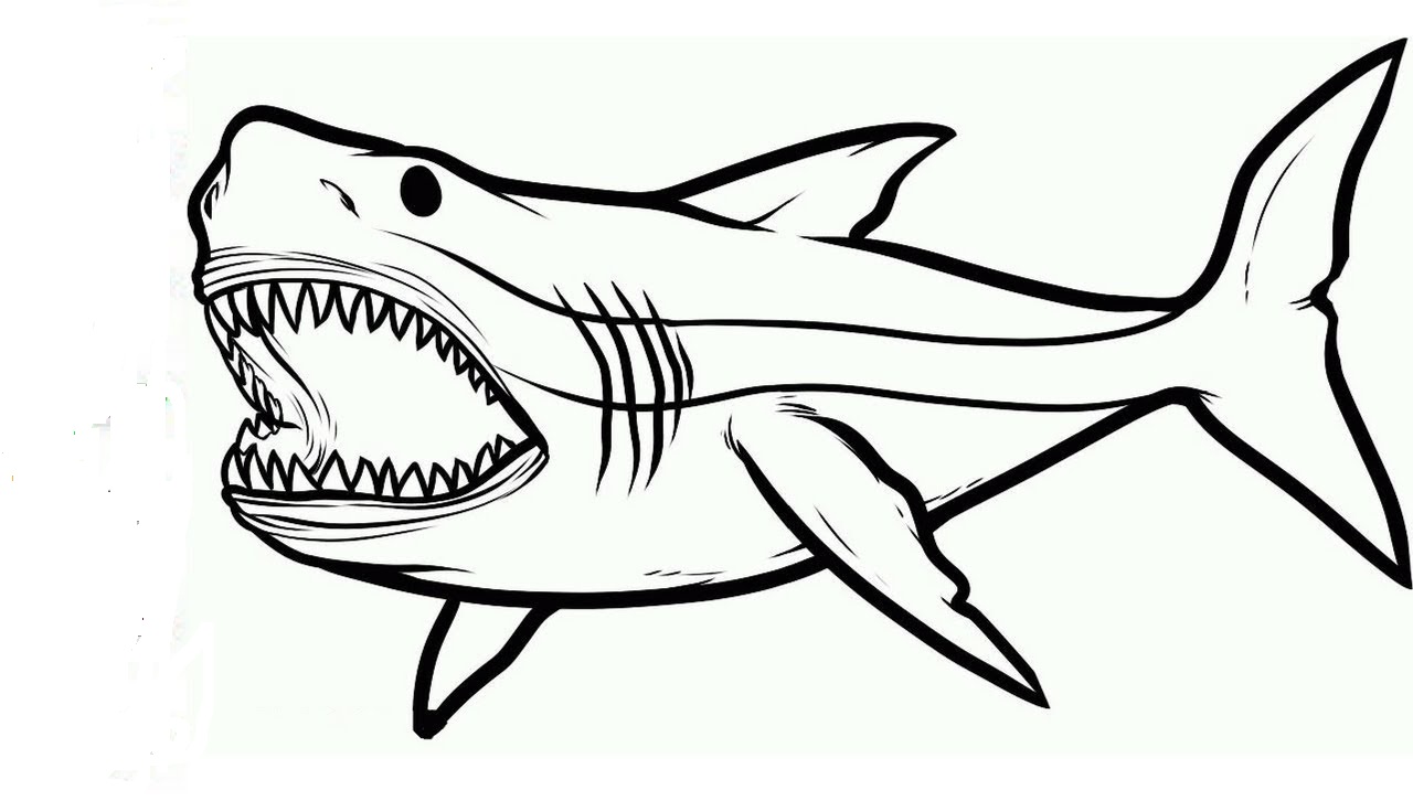 Shark S Jaw Coloring Page Free Printable Coloring Pages For Kids